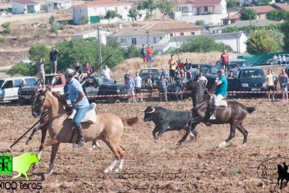 Foto: 100x100 Toros y Álvaro Martín